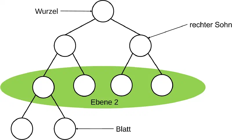 Binärer Baum